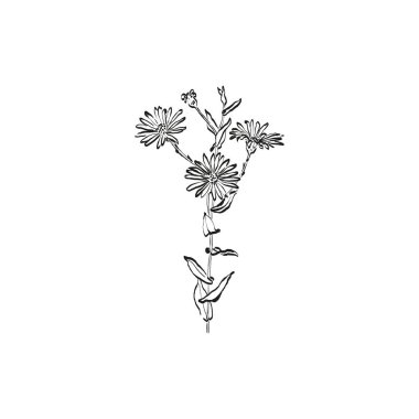 Botanik çizimi. Minimum bitki logosu, botanik çizim çizimi, çayır yeşilliği, yaprak ve çiçek açan soyut çizim elemanları koleksiyonu, köy dalı. Moda küçük dövme tasarımı, çiçek elementleri vektör illüstrasyonu