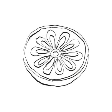 Botanik çizimi. Minimum bitki logosu, botanik çizim çizimi, çayır yeşilliği, yaprak ve çiçek açan soyut çizim elemanları koleksiyonu, köy dalı. Moda küçük dövme tasarımı, çiçek elementleri vektör illüstrasyonu