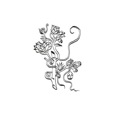 Botanik çizimi. Minimum bitki logosu, botanik çizim çizimi, çayır yeşilliği, yaprak ve çiçek açan soyut çizim elemanları koleksiyonu, köy dalı. Moda küçük dövme tasarımı, çiçek elementleri vektör illüstrasyonu