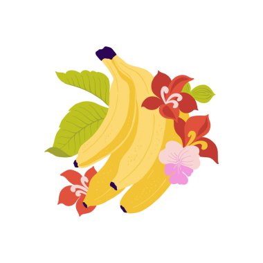 Meyveler soyut elementler. Yiyecek ve sağlıklı kompozisyon. Modern trend Matisse minimal tarzı. Meyve posteri, davet. Tebrik kartı veya davet tasarımı için vektör düzenlemeleri