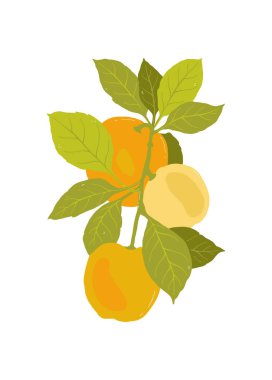 Meyveler soyut elementler. Yiyecek ve sağlıklı kompozisyon. Modern trend Matisse minimal tarzı. Meyve posteri, davet. Tebrik kartı veya davet tasarımı için vektör düzenlemeleri