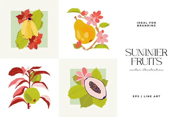 stock vector Fruits abstract elements. Food and healsy composition. Modern trendy Matisse minimal style. Fruits poster, invite. Vector arrangements for greeting card or invitation design