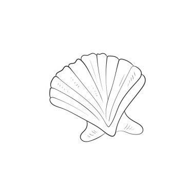 Okyanus ve Deniz, Botanik illüstrasyonu. Siyah mürekkep, çizgi, karalama tarzı. 