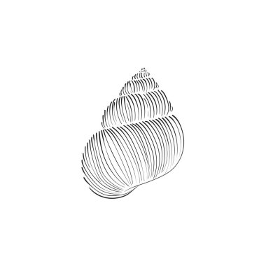 Okyanus ve Deniz, Botanik illüstrasyonu. Siyah mürekkep, çizgi, karalama tarzı. 