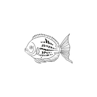 Okyanus ve Deniz, Botanik illüstrasyonu. Siyah mürekkep, çizgi, karalama tarzı. 