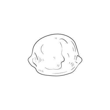 Okyanus ve Deniz, Botanik illüstrasyonu. Siyah mürekkep, çizgi, karalama tarzı. 