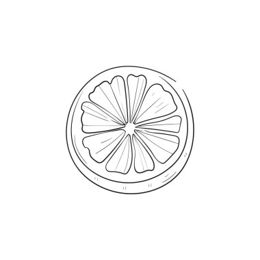 Okyanus ve Deniz, Botanik illüstrasyonu. Siyah mürekkep, çizgi, karalama tarzı. 