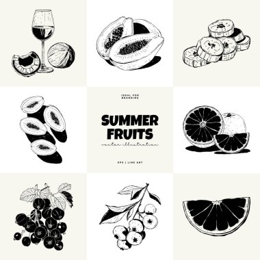 Soyut meyve vektörü siyah mürekkep. Modern moda minimal tarz. Egzotik Sağlıklı Yemek. Duvar kağıdı, duvar dekoru, baskı, kartpostal, kapak, şablon, pankart için el çizimi tasarımı.