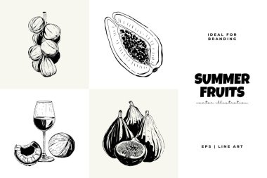 Abstract fruits vector black ink. Modern trendy minimal style. Exotic Healthy Food. Hand drawn design for wallpaper, wall decor, print, postcard, cover, template, banner. clipart