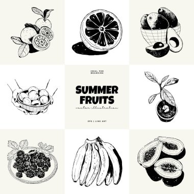Soyut meyve vektörü siyah mürekkep. Modern moda minimal tarz. Egzotik Sağlıklı Yemek. Duvar kağıdı, duvar dekoru, baskı, kartpostal, kapak, şablon, pankart için el çizimi tasarımı.