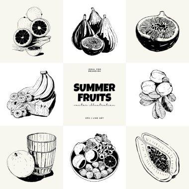 Soyut meyve vektörü siyah mürekkep. Modern moda minimal tarz. Egzotik Sağlıklı Yemek. Duvar kağıdı, duvar dekoru, baskı, kartpostal, kapak, şablon, pankart için el çizimi tasarımı.