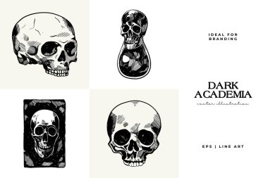 Black and white Dark Academia vector illustrations featuring magical elements: alchemy, glasses, mysticism, and classic aesthetics.  clipart