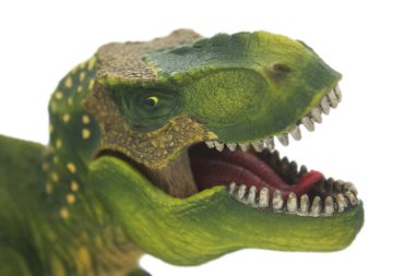 Tyrannosaurus Rex beyaz izole bir geçmişe sahip. 