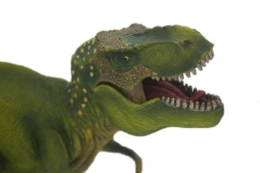 Tyrannosaurus Rex beyaz izole bir geçmişe sahip. 