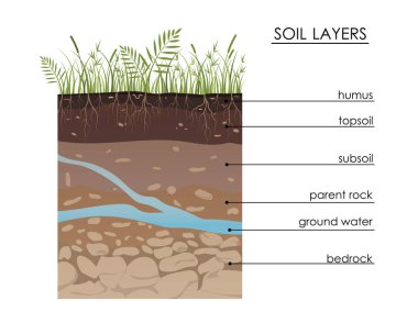 Toprak katmanları yeraltı suyuyla şema çiziyor. Jeoloji yeraltı bilgileri. Ot, kök, taş, humus, kum ve taşlarla dolap çevirin. Bölgeye in. Mineral parçacıkları. Eğitimsel illüstrasyon