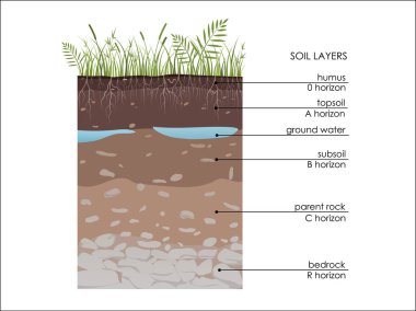 Toprak katmanları yeraltı suyuyla şema çiziyor. Jeoloji yeraltı bilgileri. Ot, kök, taş, humus, kum ve taşlarla dolap çevirin. Bölgeye in. Mineral parçacıkları. Eğitimsel illüstrasyon