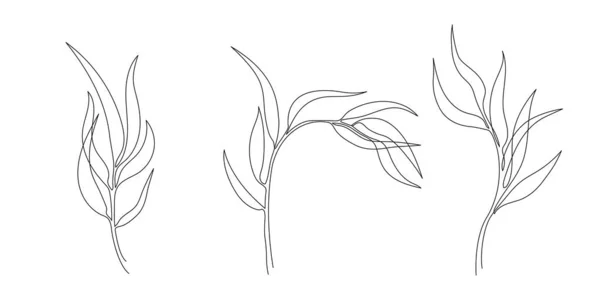 Рисунок Одну Линию Листьев Ветвей Цветов Непрерывное Рисование Эвкалиптовых Листьев — стоковый вектор