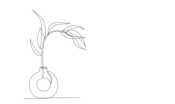 Desenho Linha Contínuo Folhas Planta Vaso Garrafa Desenho Pintado Mão — Vetor de Stock