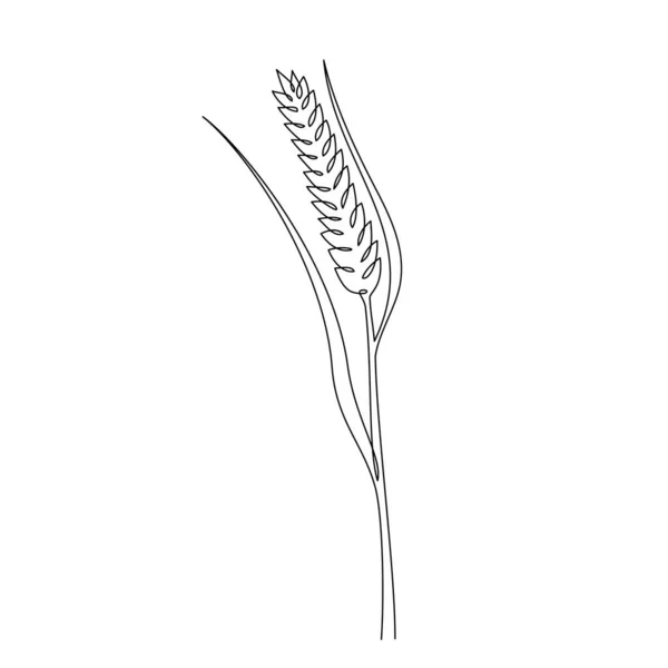 小麦籽粒穗连续画线一次 单行画成熟的耳朵 燕麦籽粒的线形草图 小麦的轮廓 农业标识的现代设计元素 — 图库矢量图片