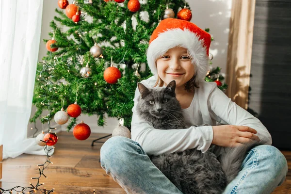 Portrait of a happy teenage girl and her gray maine coon cat next to a decorated Christmas tree. Friendship with pets.