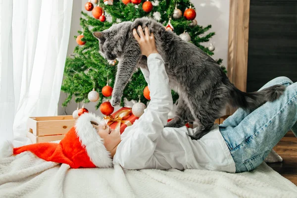 Portrait of a happy teenage girl and her gray maine coon cat next to a decorated Christmas tree. Friendship with pets.