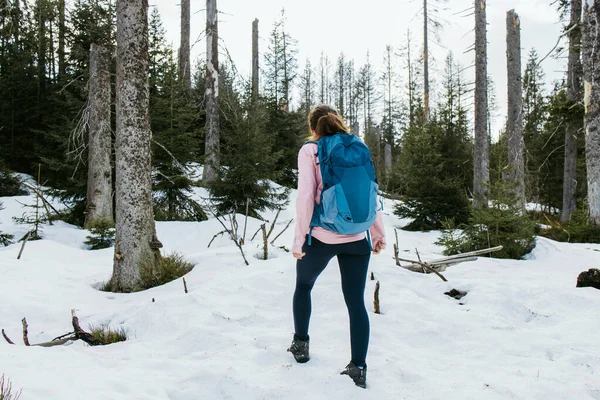 stock image Hiking outdoors. A young woman tourist with a backpack walks through the forest and enjoys nature. Hiking. Active lifestyle. Solitary walks.