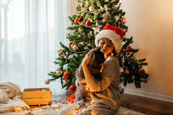 Genç bir kız, ışıklarda süslü bir Noel ağacının arka planında gri kedisine sarılıyor. Çocuklar ve hayvanlar yeni yılı kutluyor..