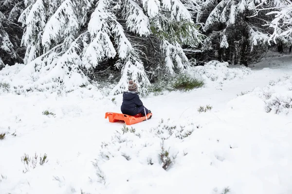 The boy is sledding in warm clothes through the winter forest. Children rest on vacation.
