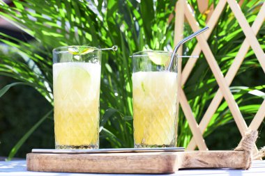 Refreshing iced melon cocktail or smoothie garnished with a sprig of mint. The concept of refreshing summer drinks. Detox. 