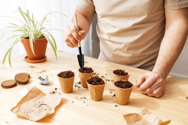 The process of planting tomato seeds in peat environmental cups. The close -up of the hands of a man, pouring the ground. Home gardening and growing vegetables