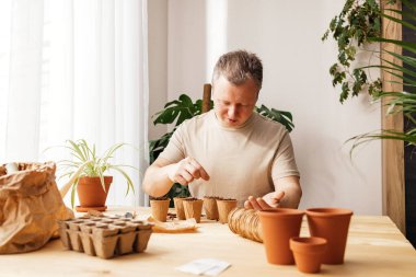 A man grows lavender in an apartment. The gardener sow Lavender seeds in environmentally friendly peat pots. Small floral business. Gardening at home