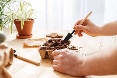 Tohum ekme süreci. Bir adam dünyayı küçük bir spatulayla ekolojik turba kalıplarına döküyor. Apartmanda bahçe düzenleme ve bahçe işleri.. 