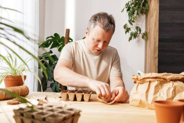 Man planting tomato seeds for seedlings at home. The mans hands put the seed into a hole in the ground. Gardening in the apartment.