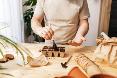 Evde fidanlar için domates tohumu eken bir adam. Bir insan tohum için ekolojik tohum kabında bir delik açar. Bahçıvanlık dairede hobi olarak..