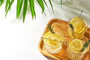 Yaz ferahlatıcı içecekler, limon dilimleri ve biberiyeli alkollü kokteyller. Limonlu taze içecek..