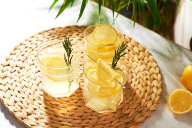 Yaz ferahlatıcı içecekler, limon dilimleri ve biberiyeli alkollü kokteyller. Limonlu taze içecek..