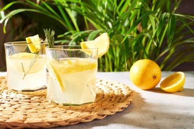 Yaz ferahlatıcı içecekler taze limon dilimleri ve biberiye filizleriyle. Turunçgil meyveli alkollü kokteyller. soğuk limon suyu.