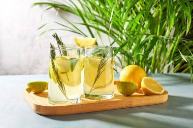 Yaz içecekleri, taze limonlu kokteyller, parlak güneş ışınlarında limon ve biberiye. Sıcak bir günde soğuk narenciye içer..