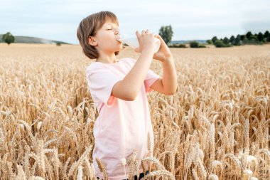 Tatlı mutlu kız mısır gevreği tarlasında dikilirken cam şişeden taze süt içiyor. Sağlıklı gıda ve biyoorganik ürünler kavramı