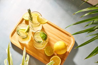Yaz ferahlatıcı limonlu içecekler. Taze limon dilimli alkollü soğuk kokteyller. limon suyu. Detox kokteyli