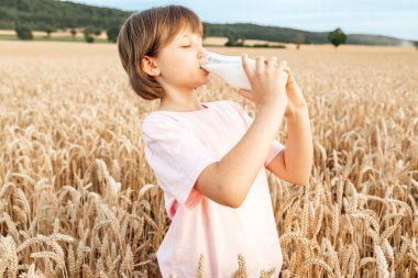 Tatlı mutlu kız mısır gevreği tarlasında dikilirken cam şişeden taze süt içiyor. Sağlıklı gıda ve biyoorganik ürünler kavramı