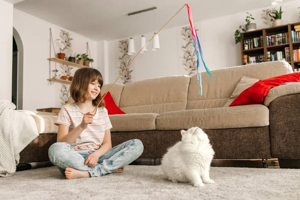 A dark-haired girl sits on the carpet in the living room and plays with a toy with her adorable white kitten. The relationship between children and pets. The funny life of pets at home.