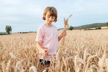 Mutlu bir kız yazın tarlada bir buket çivi toplar. Hasat, yaz tatili. Çocuk doğanın, kır hayatının ve özgürlüğün tadını çıkarıyor..