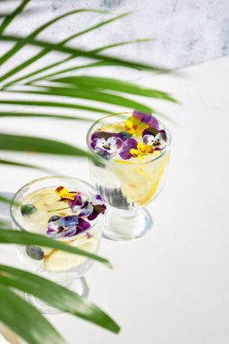 Güneşli bir günde palmiye yapraklarının altında limonlu buzlu soda ve yenilebilir çiçekler. Yaz soğuk kokteylleri ve içecekler. Detoks suyu