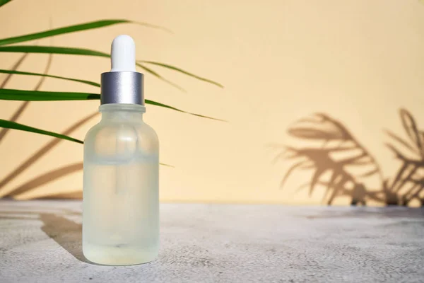 stock image Close-up cosmetic product for face and body care in a transparent bottle with a pipette in the rays of the bright sun. organic cosmetics.