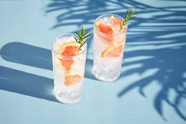 Ein Gekühlter Cocktail Mit Frischen Grapefruitscheiben Und Einem Zweig Rosmarin lizenzfreie Stockbilder