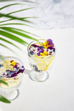 Güneşli bir günde palmiye yapraklarının altında limonlu buzlu soda ve yenilebilir çiçekler. Yaz soğuk kokteylleri ve içecekler. Detoks suyu