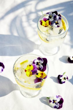 Limonlu soğuk limonata ve yenilebilir çiçekler. Sağlıklı yaz içkileri ve kokteyller. Detoks suyu. 