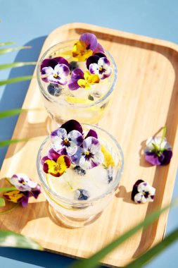 Parlak güneş ışınlarında turunçgiller ve yenilebilir çiçeklerle ferahlatıcı bir kokteylin üst görüntüsü. Yaz ferahlatıcı içecekler