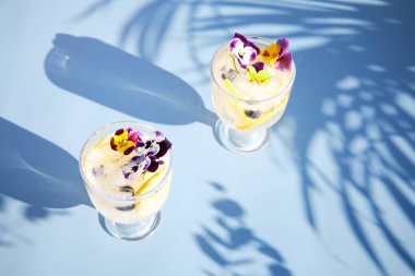 Parlak güneş ışınlarında turunçgiller ve yenilebilir çiçeklerle ferahlatıcı bir kokteylin üst görüntüsü. Yaz ferahlatıcı içecekler